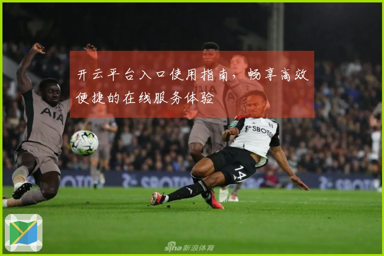 开云平台入口使用指南，畅享高效便捷的在线服务体验